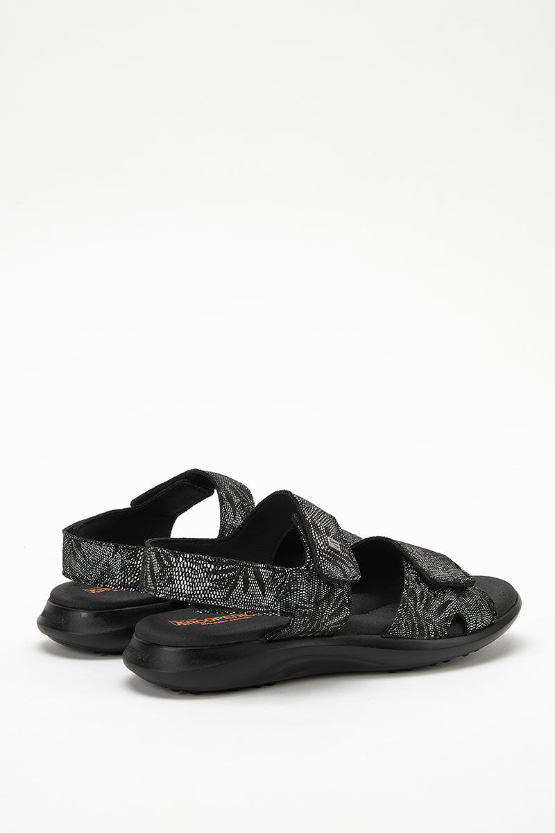 Corbett Palm - Printed Lytech Walking Sandal - Black