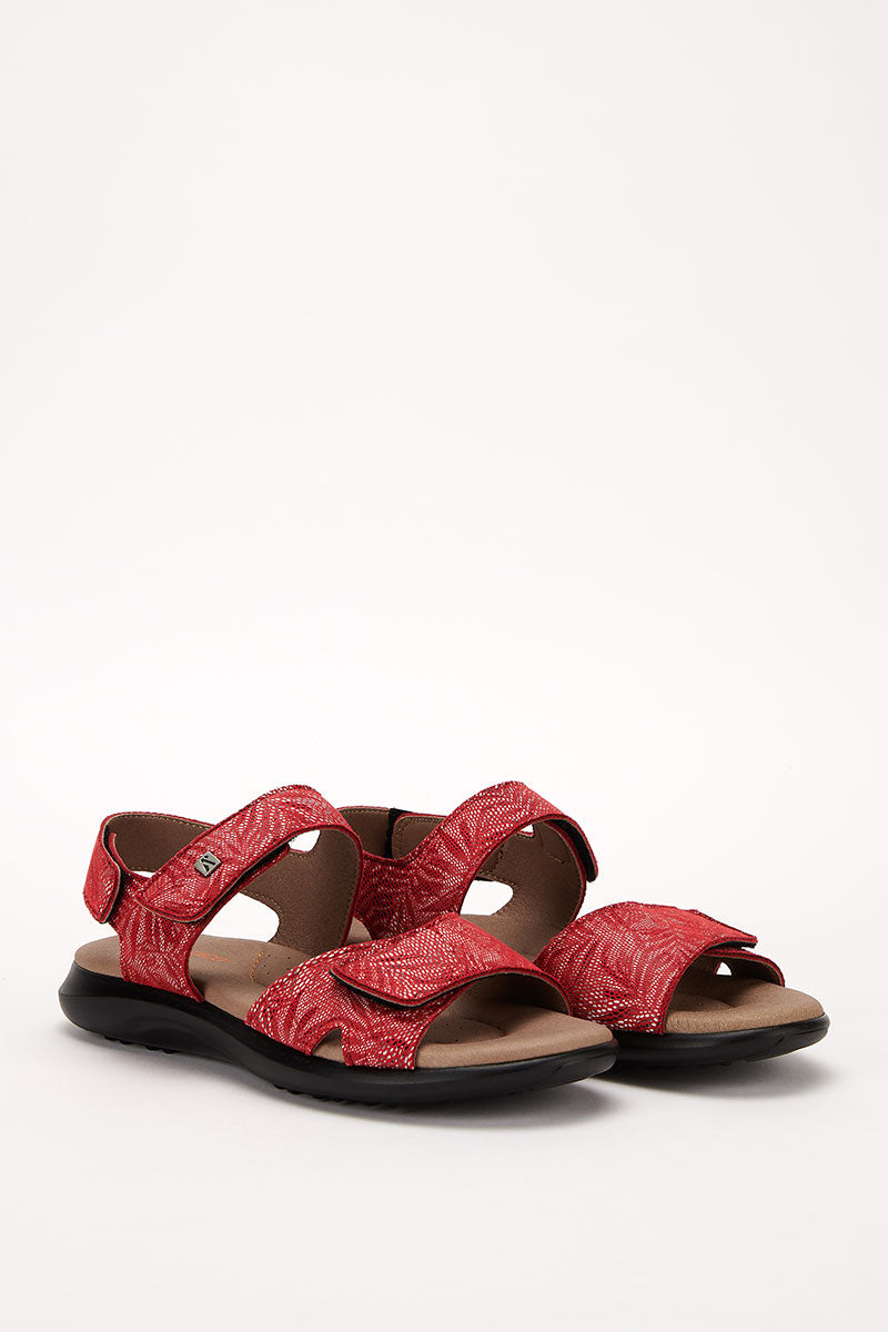 Corbett Palm - Printed Lytech Walking Sandal - Red