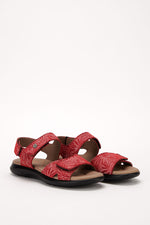 Corbett Palm - Printed Lytech Walking Sandal - Red