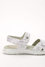 Corbett Palm - Printed Lytech Walking Sandal - White