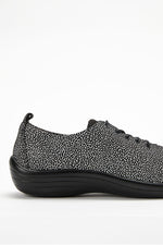 Lanin Seashell - Printed Lytech Lace-Up Sneaker - Black