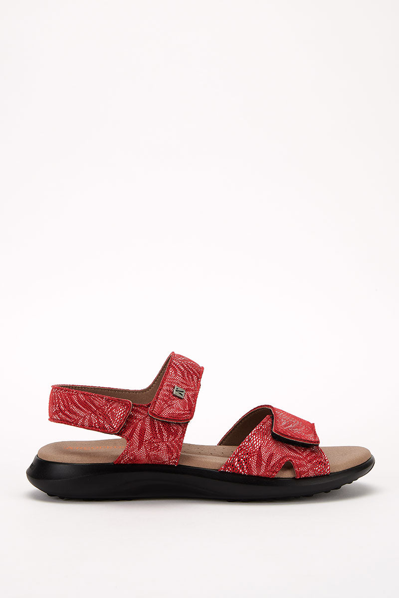 Corbett Palm - Printed Lytech Walking Sandal - Red