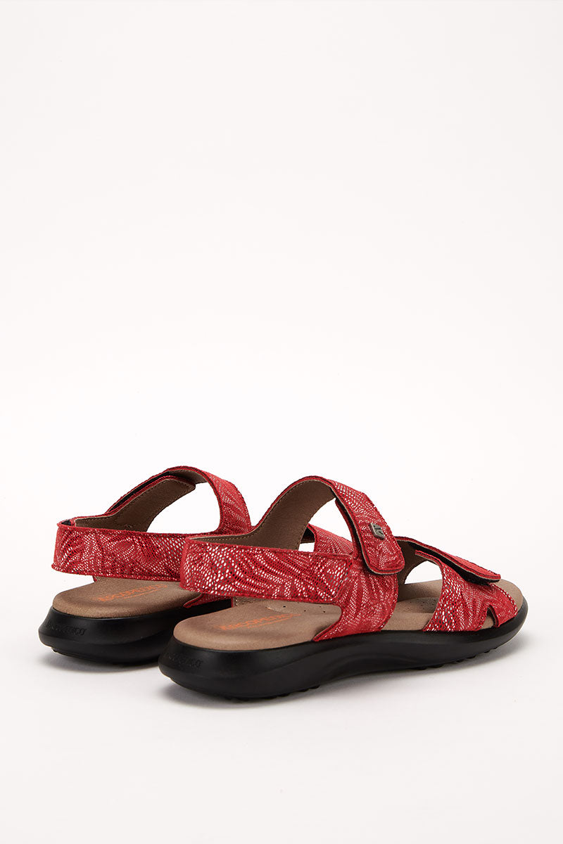 Corbett Palm - Printed Lytech Walking Sandal - Red