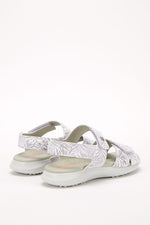 Corbett Palm - Printed Lytech Walking Sandal - White